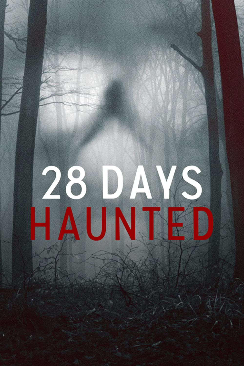 Xem phim 28 Ngày Ma Ám - 28 Days Haunted (2022)