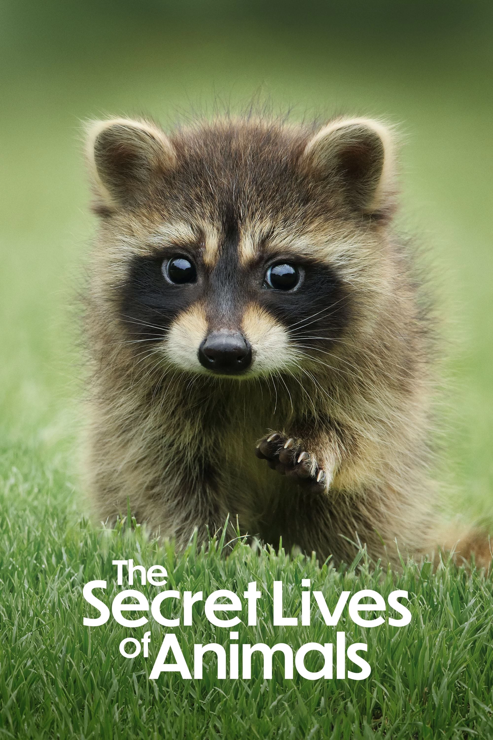 Xem phim Bí Ẩn Về Thế Giới Động Vật - The Secret Lives Of Animals (2024)