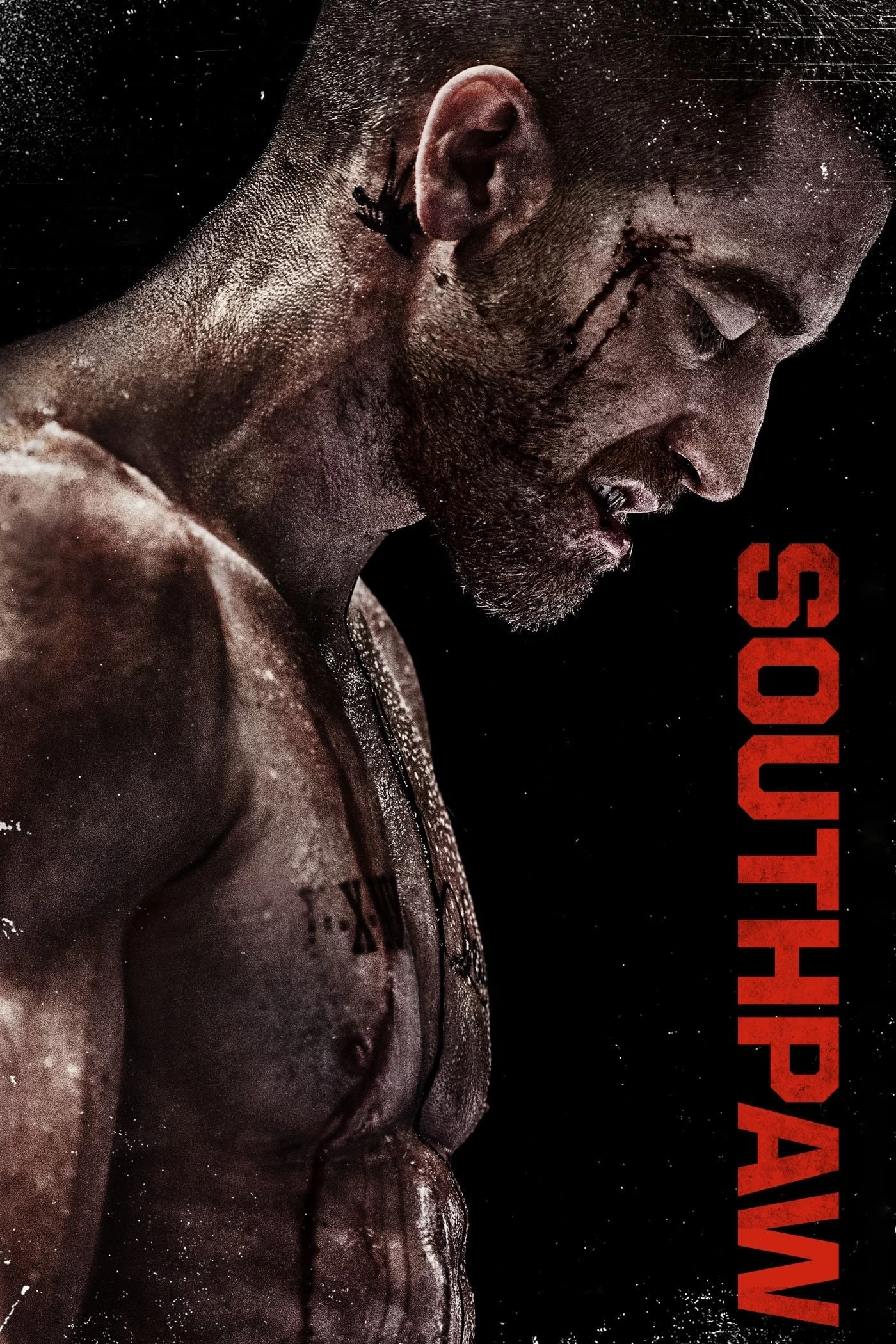 Xem phim Con Đường Võ Sĩ - Southpaw (2015)