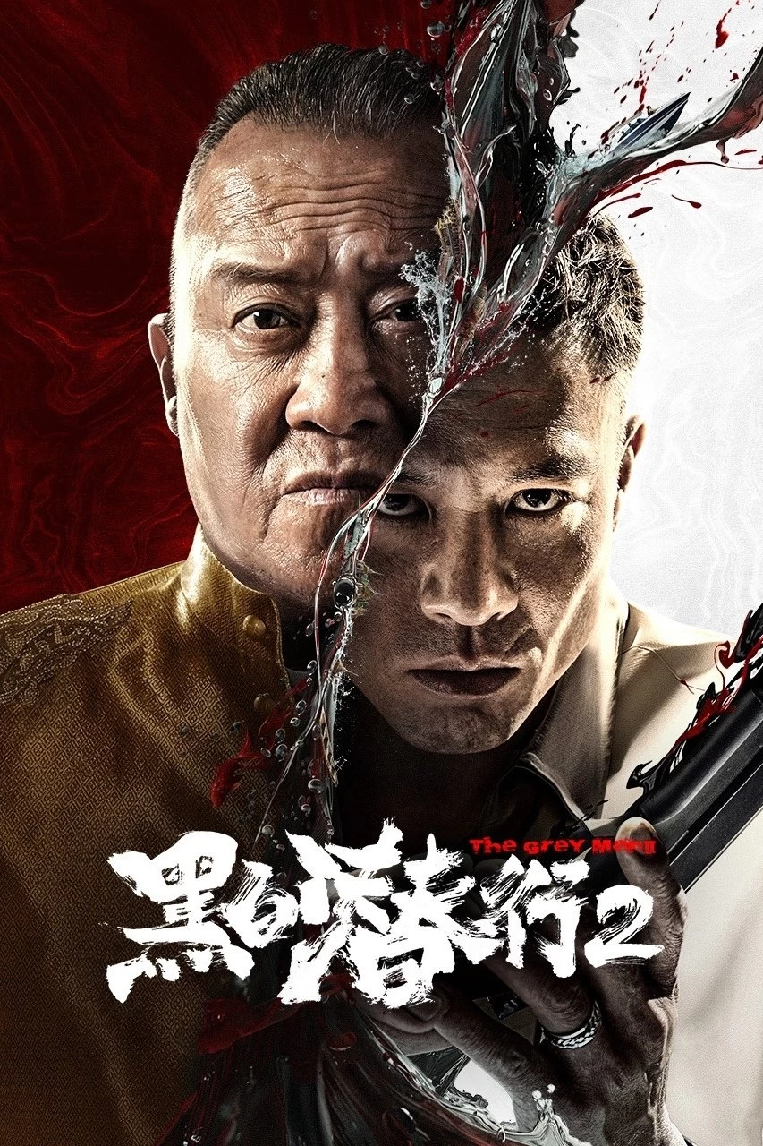 Xem phim Đặc Vụ Vô Hình 2 - The Grey Men 2 (2025)