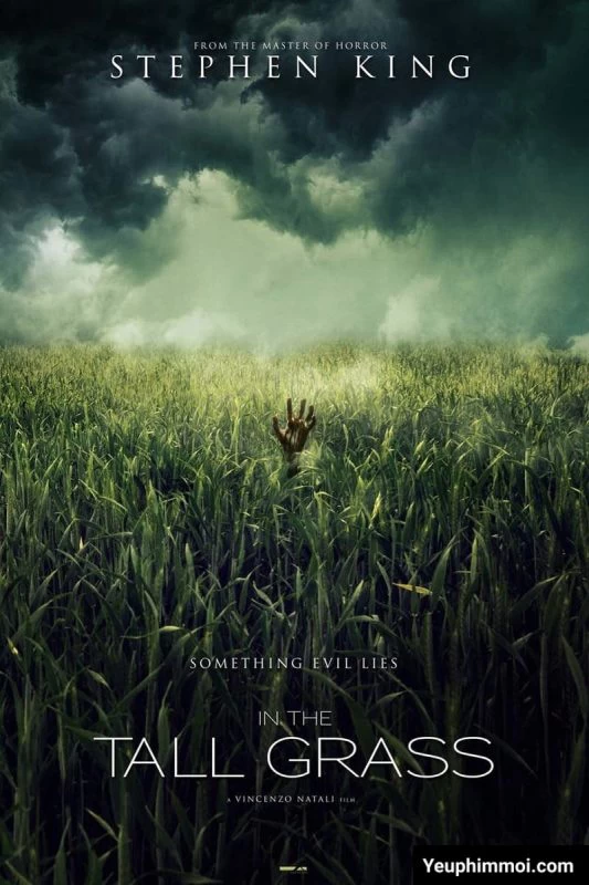 Xem phim Giữa Bụi Cỏ Cao - In The Tall Grass (2019)