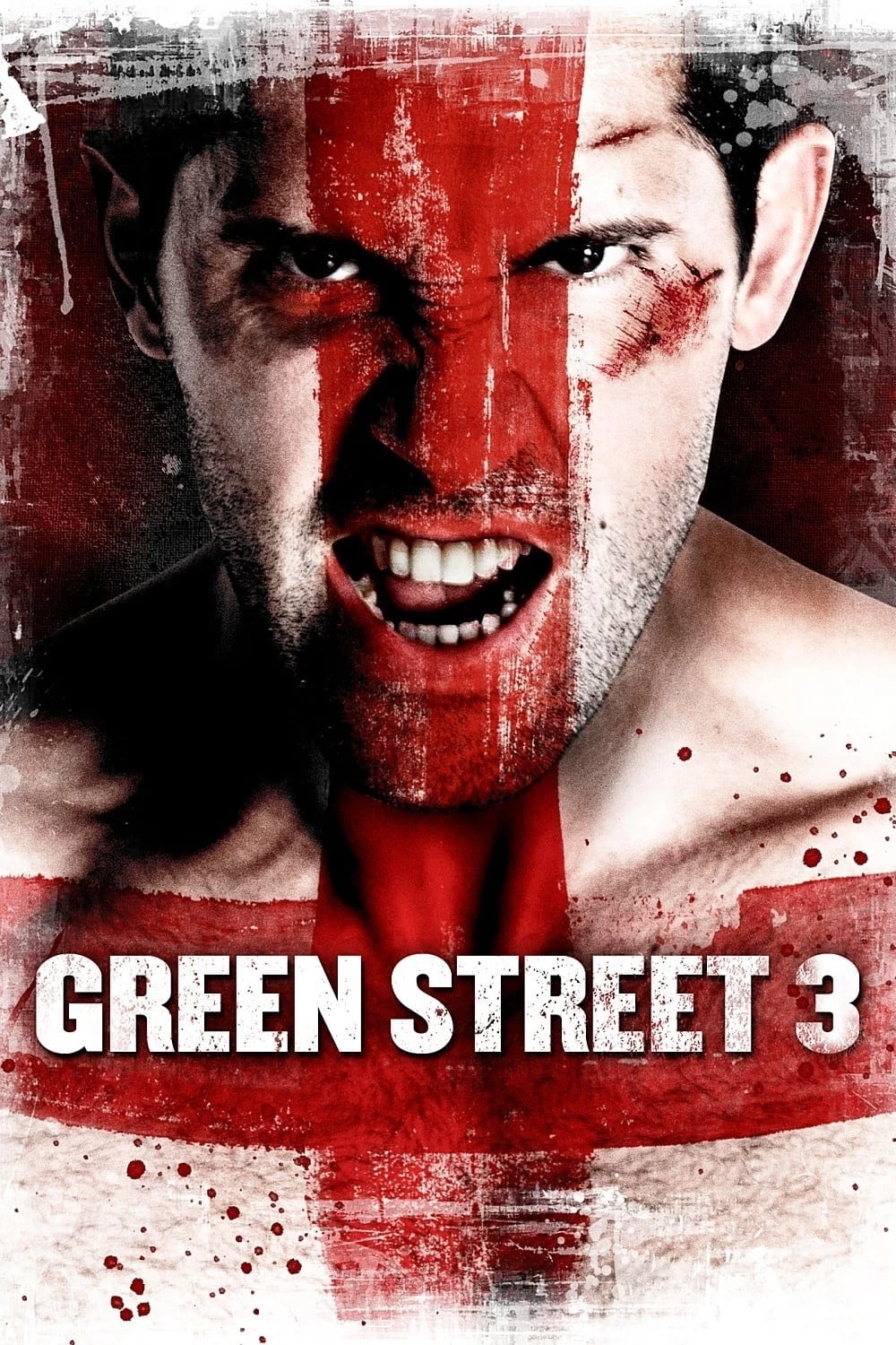 Xem phim Không Chùn Bước 3 - Green Street 3: Never Back Down (2013)