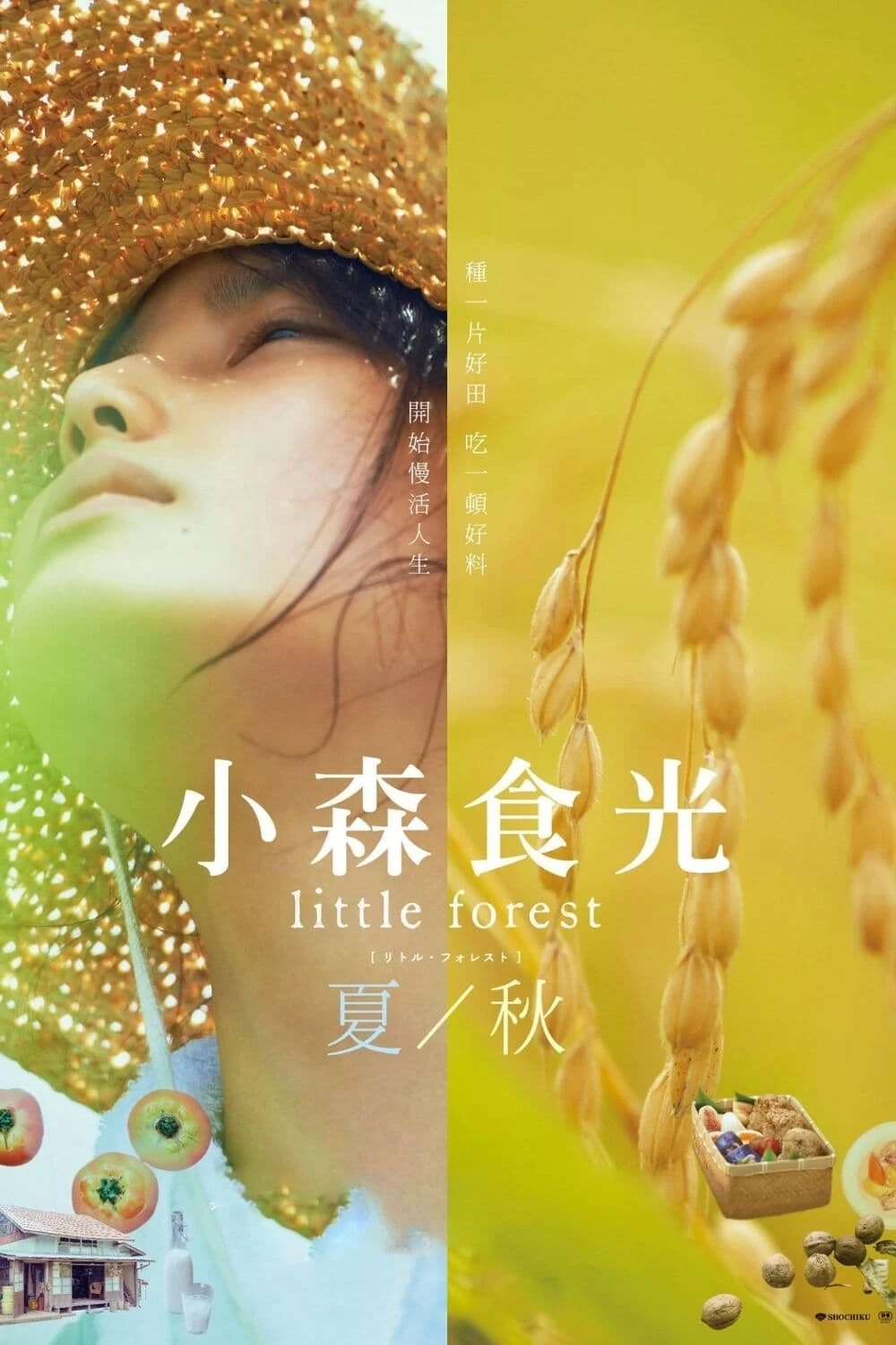 Xem phim Khu Rừng Nhỏ - Hạ/Thu - Little Forest: Summer/Autumn (2014)