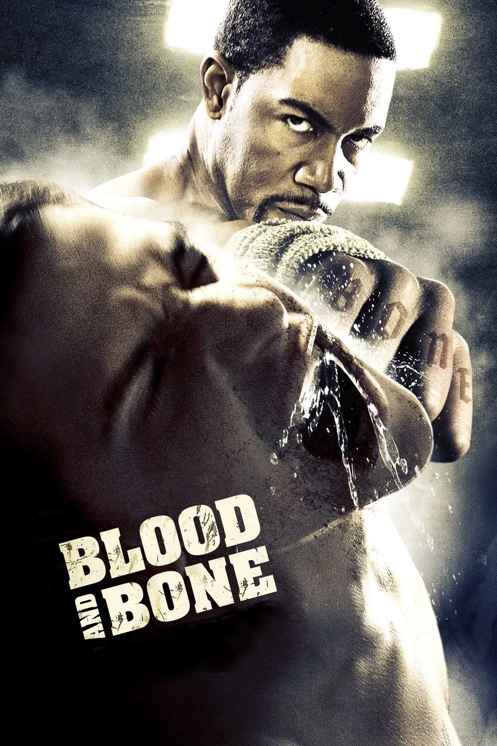 Xem phim Máu và Xương - Blood and Bone (2009)