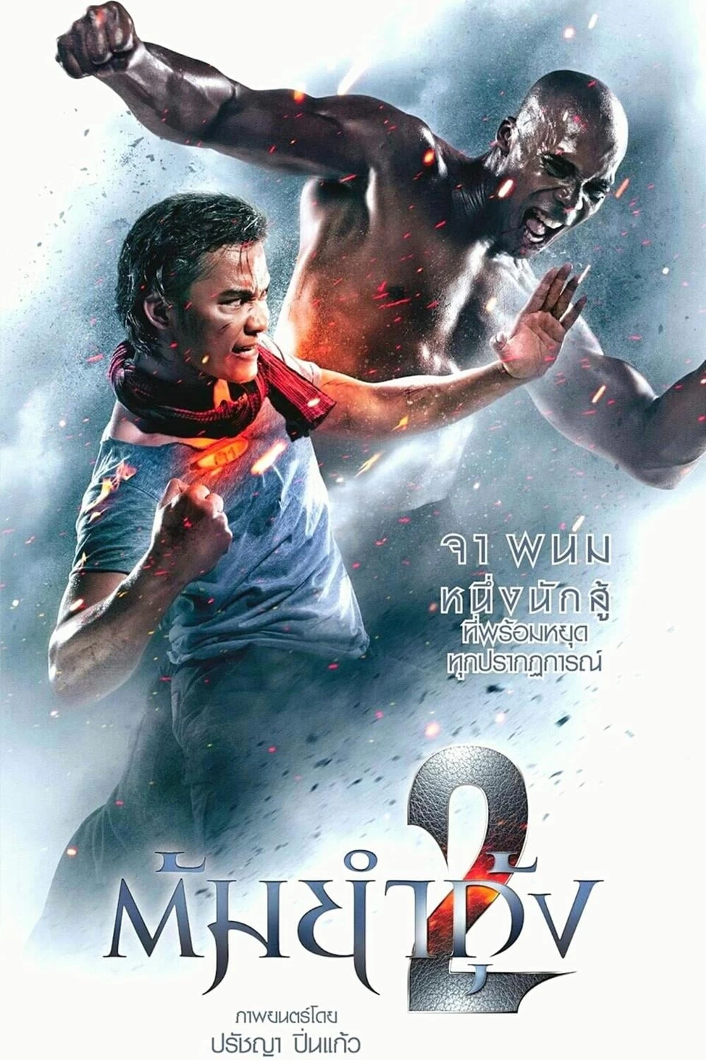 Xem phim Người Bảo Vệ 2 - The Protector 2 (2013)