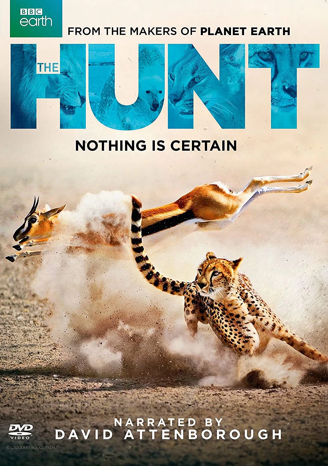 Xem phim Săn Mồi - BBC: The Hunt (2015)