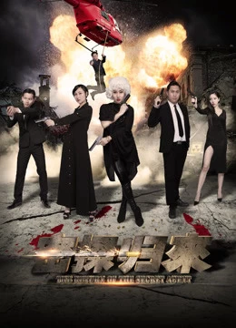 Xem phim Sự Trở Lại Của Điệp Viên Bí Mật - The Return Of The Secret Agent (2018)