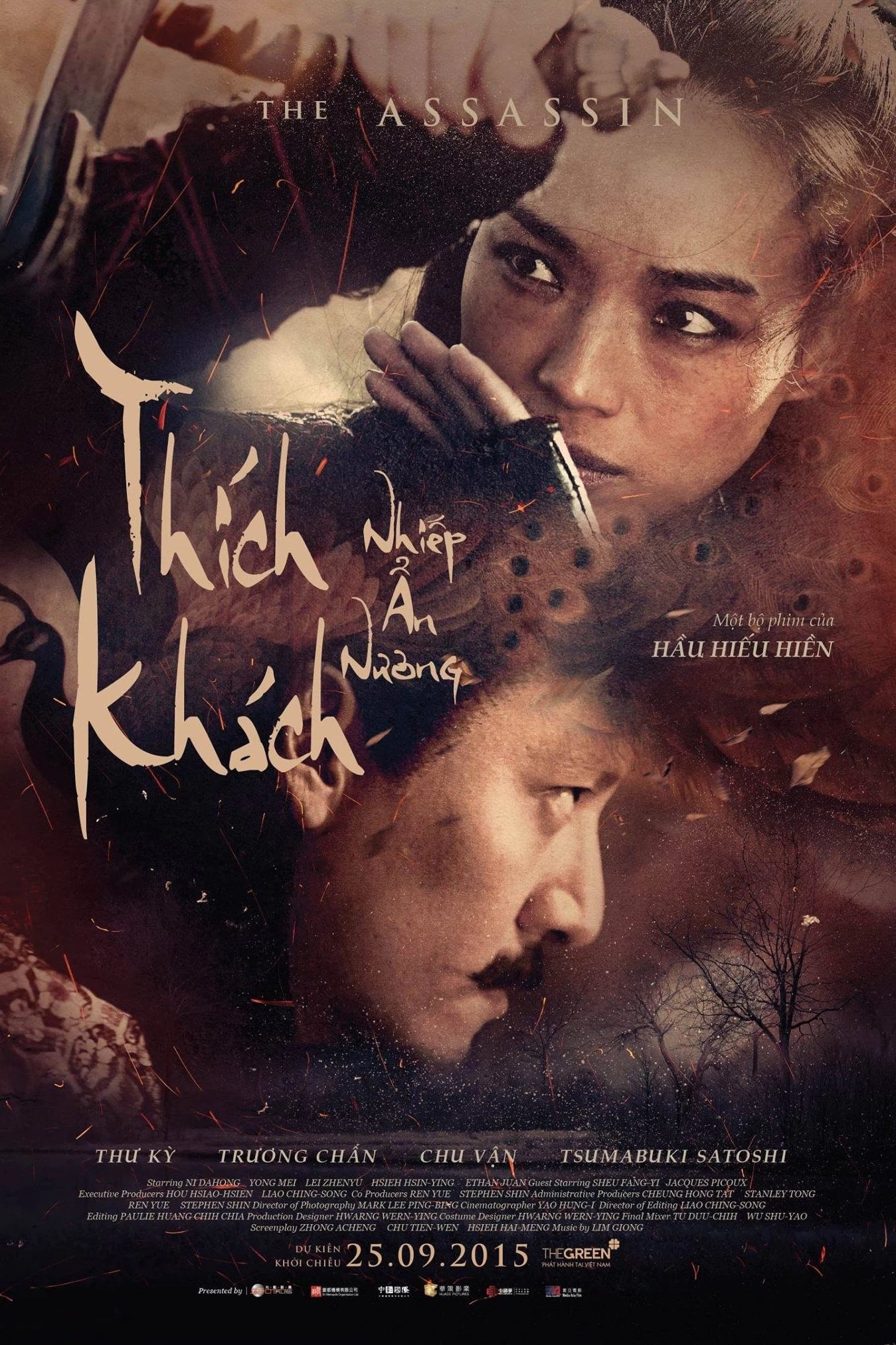 Xem phim Thích Khách Nhiếp Ẩn Nương - The Assassin (2015)