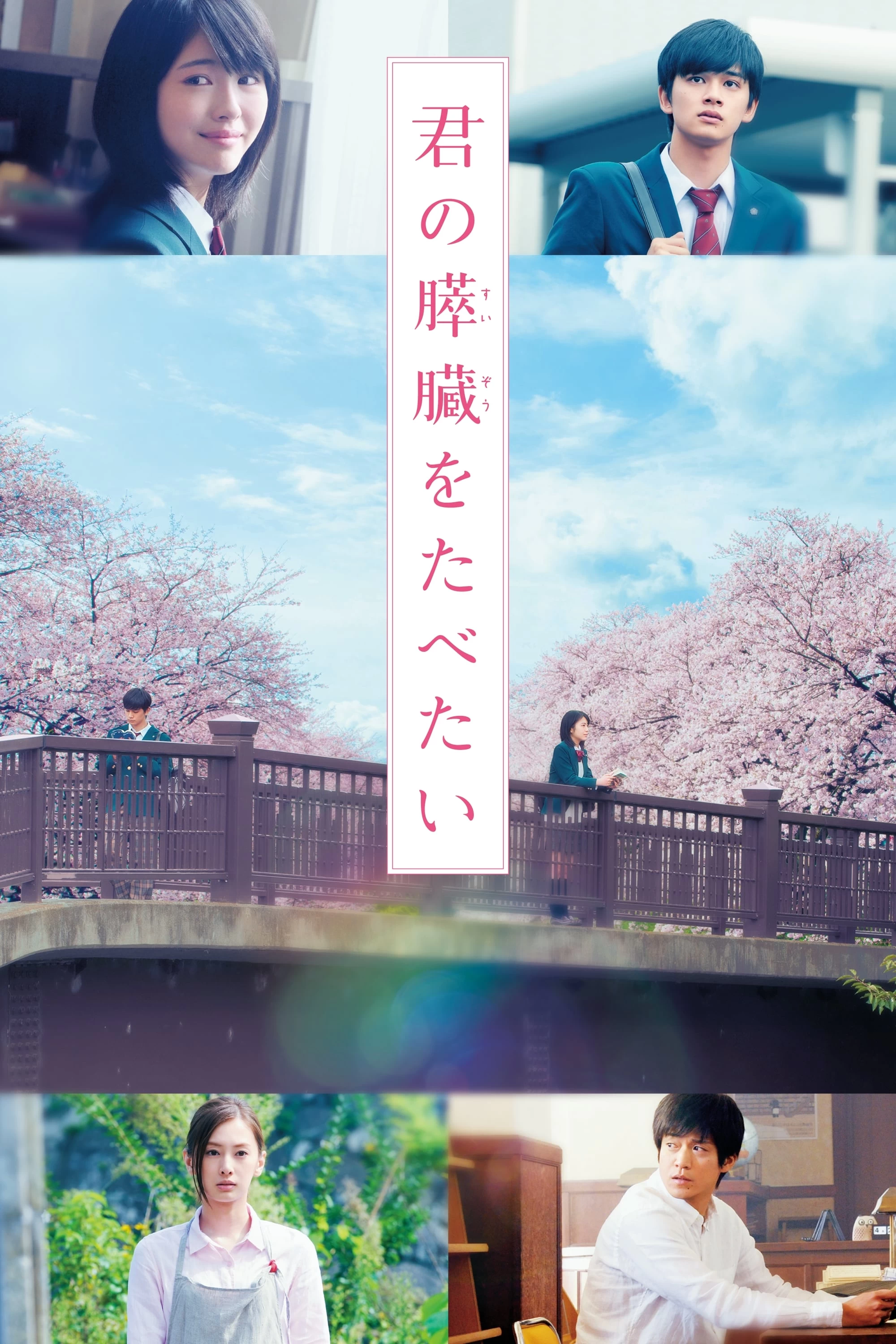 Xem phim Tớ Muốn Ăn Tụy Của Cậu - Let Me Eat Your Pancreas (2017)