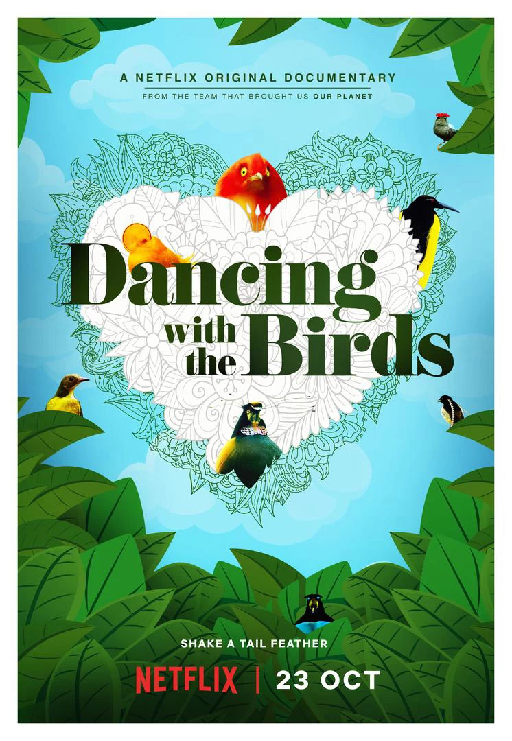 Xem phim Vũ Điệu Của Loài Chim - Dancing With The Birds (2019)