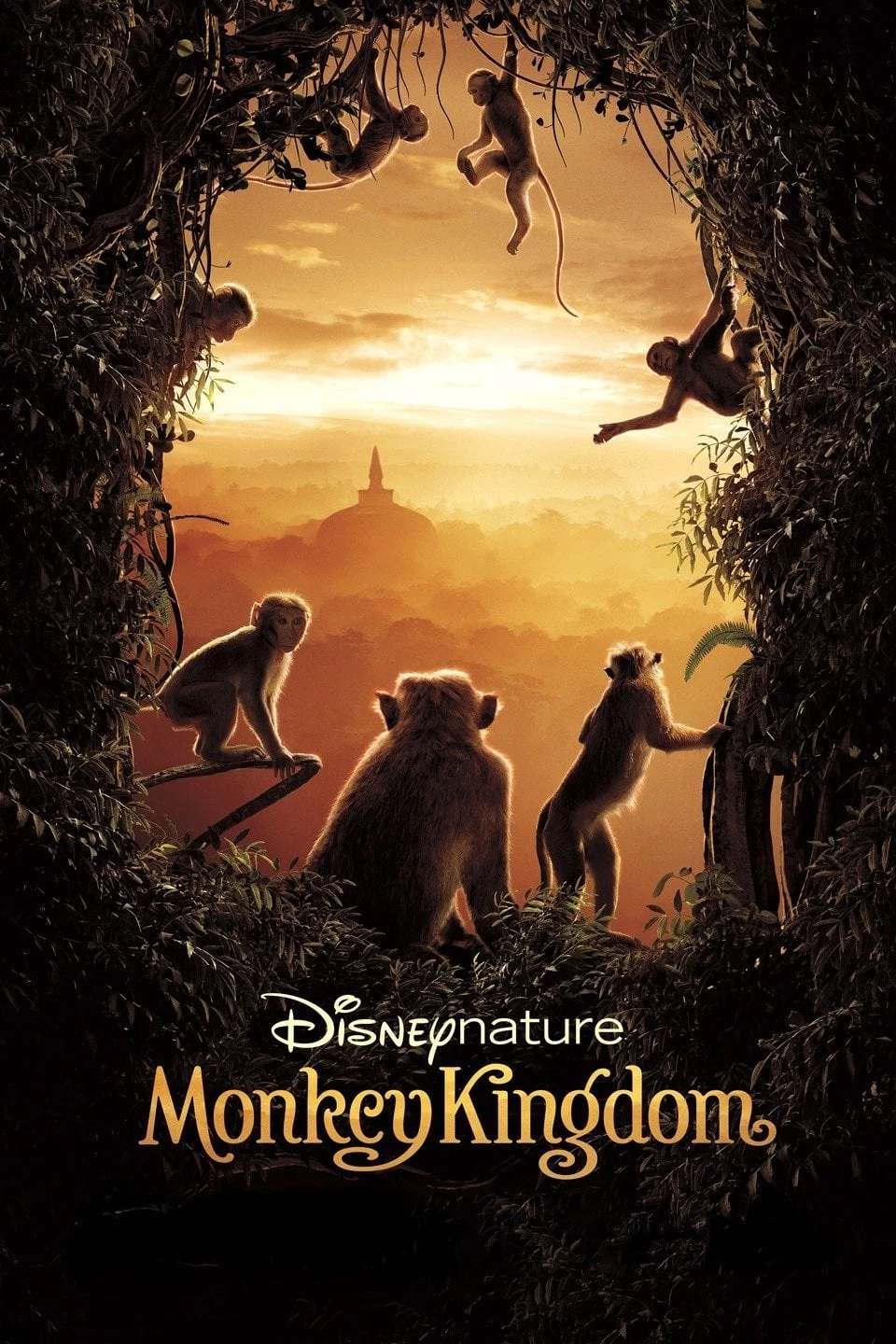 Xem phim Vương Quốc Loài Khỉ - Monkey Kingdom (2015)